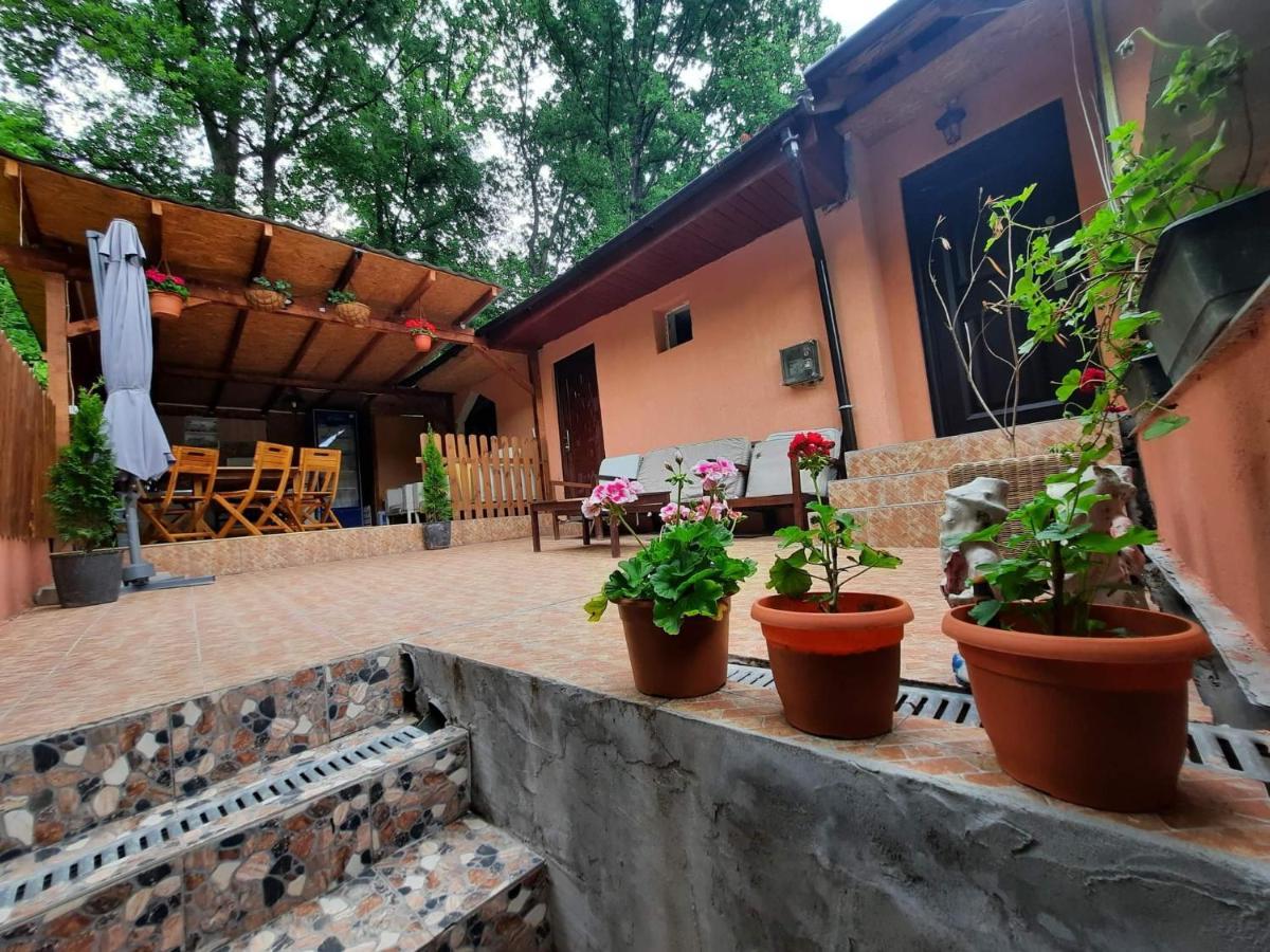 Casa de vacanță EMD Ieşelniţa Exterior foto
