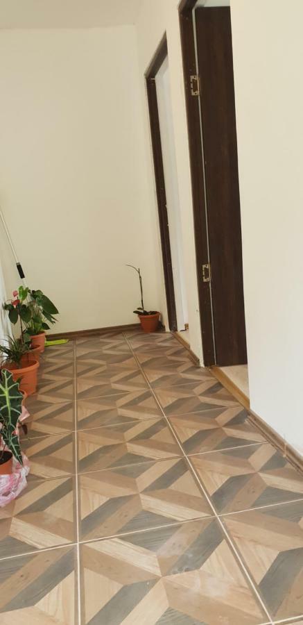 Casa de vacanță EMD Ieşelniţa Exterior foto